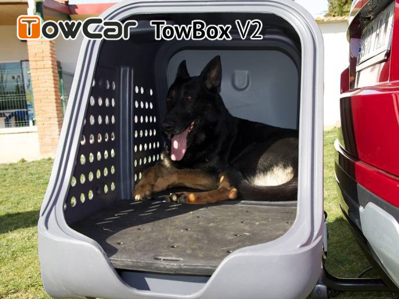 TowCar TowBox V2 Dog šedý, na ťažné zariadenie